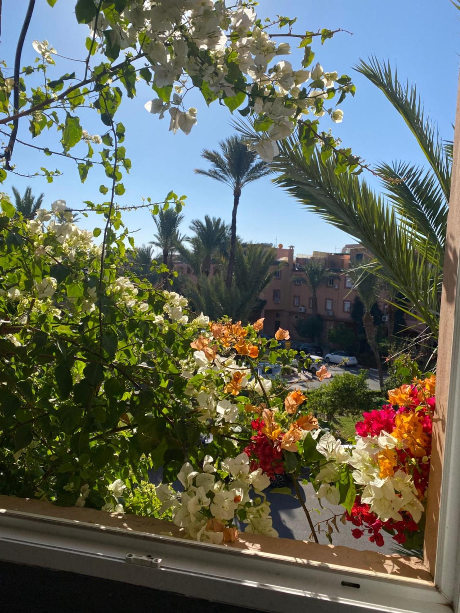 Riad Palmier Fleuri Marrakesh Ngoại thất bức ảnh