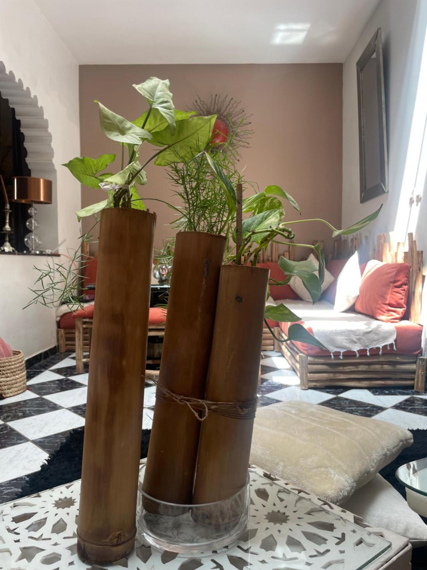 Riad Palmier Fleuri Marrakesh Ngoại thất bức ảnh